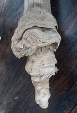 Treibholz schwemmholz cm gebraucht kaufen Treibholz schwemmholz cm gebraucht kaufen  Hilden