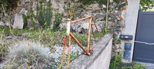 velo perle d'occasion velo perle d'occasion La Roche-sur-Foron
