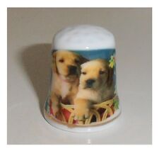 Ditale ceramica animali usato  Cairo Montenotte