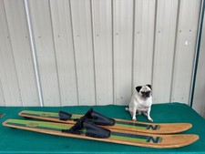 Vintage nash water for sale  Bend