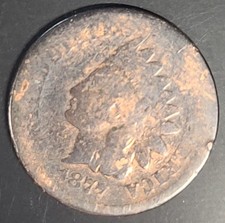 1877 penny for sale 1877 penny for sale Jefferson City
