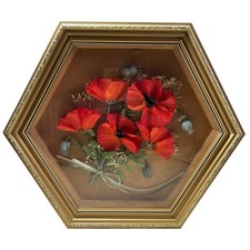 Vintage botanical art for sale  BIGGLESWADE