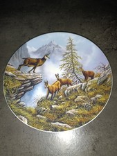 Wandteller porzellanteller sto gebraucht kaufen  Trier