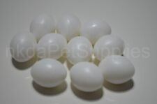 Dummy eggs parakeets for sale  BRADFORD