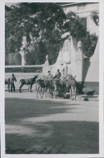 Espagne malaga hommes d'occasion Espagne malaga hommes d'occasion  Pagny-sur-Moselle