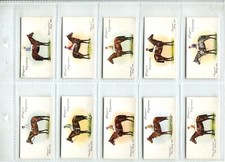 Derby grand national for sale  SWINDON