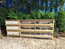 Extra large quail for sale  KINGSWINFORD