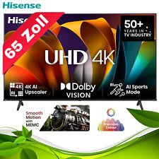 Hisense 65a6n hisense gebraucht kaufen  Bad Windsheim