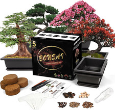 chinese flame trees for sale chinese flame trees for sale Eagle Mountain