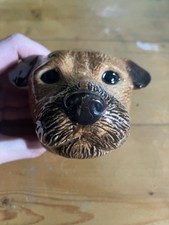 Cute border terrier for sale  LIVERPOOL