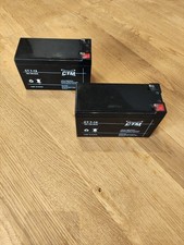 Ctm lagm batterie gebraucht kaufen  Frankfurt am Main