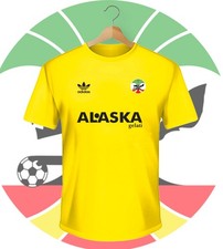 Shirt tifoso lecce usato  Catania