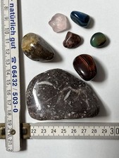 Nummuliten stein nummulitenkla gebraucht kaufen  Weilmünster