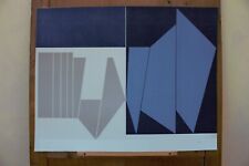 Gualtiero nativi serigrafia usato  Montecatini Terme
