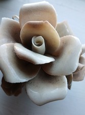 Porcelain rose for sale  NOTTINGHAM