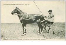 Hippisme. 35959.foudre.alezan. d'occasion  France