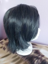 Cosplay perücke blau gebraucht kaufen  Reuterstadt Stavenhagen