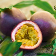 Passion fruit suntropics for sale  LLANDYSUL