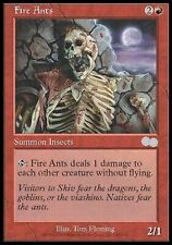 Fire ants urza for sale  CANTERBURY