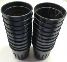 20x aquarium plant for sale  PLYMOUTH