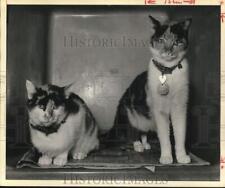 1975 press photo for sale  Memphis