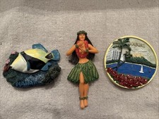 Kitchen refrigerator magnets for sale  Temperance