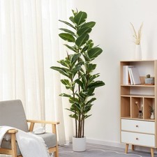 Artificial rubber tree for sale  Brentwood