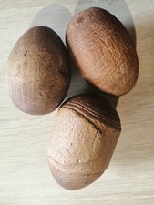 Oeufs repriser bois d'occasion  Saïx