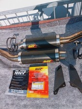 Schalldämpfer carbon aprilia gebraucht kaufen  Grafing b.München