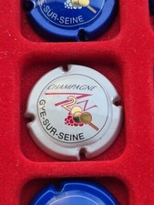 Capsule champagne gye d'occasion  Gueux