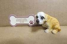 Name sadie resin for sale  Warrensburg