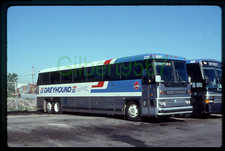 Greyhound canada original for sale  Nottingham