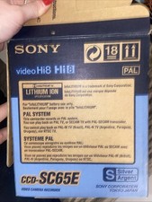 Sony handycam video usato  Napoli