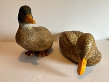 female 2 ducks for sale female 2 ducks for sale Duck