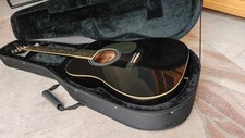 Gitarre sherwood serial gebraucht kaufen  Minden