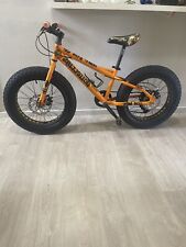 Bicicletta bottecchia bambino usato  Assisi