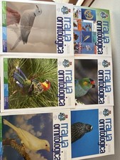 Rivista italia ornitologica usato  Italia