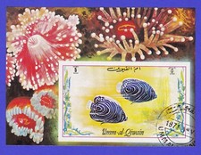 1971 tropical fish for sale  Deland