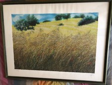 Franco azzinari campo usato  Gallarate
