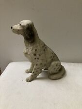 Sat english setter for sale  SHANKLIN