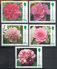 Jersey 1995 camellias for sale  LONDON