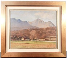 Quadro paesaggio valle usato  Torino