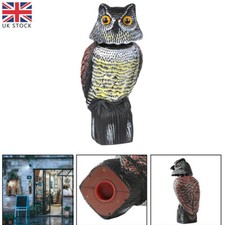Realistic simulated owl for sale  DERBY