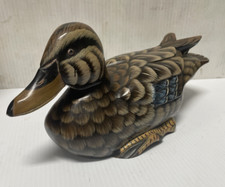 ducks 12 females for sale ducks 12 females for sale Derby
