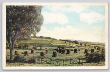 Postcard c1930 summer for sale  Brush Creek