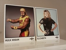 Hulk hogan miss for sale  Katy