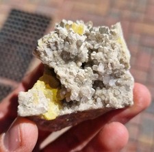 Minerali campioni dalla usato  Chiesa in Valmalenco