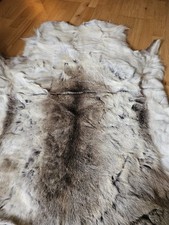 Rentierfell teppich 125 gebraucht kaufen  Essen