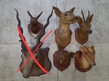 Bargain bundle antique for sale  KINGSWINFORD