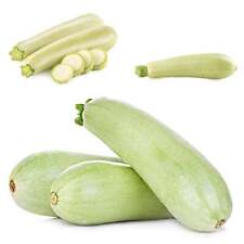 Gray zucchini seeds for sale  Shasta Lake